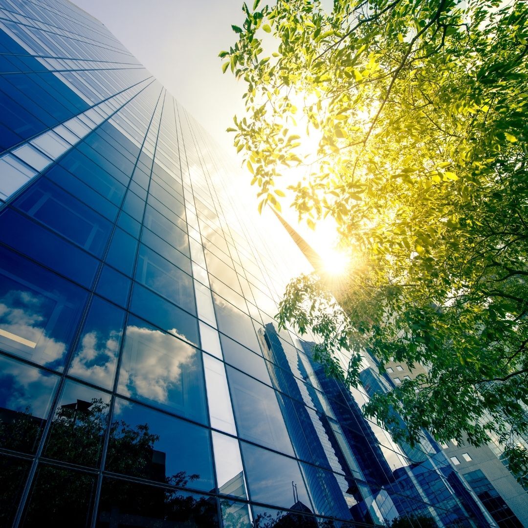 5 důvodů, proč jsou protisluneční fólie na okna lepší než žaluzie